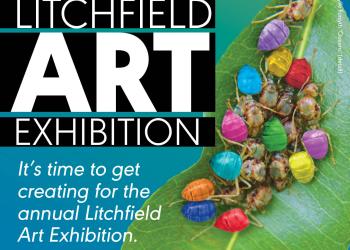 Litchfield Art Exhibition 2024