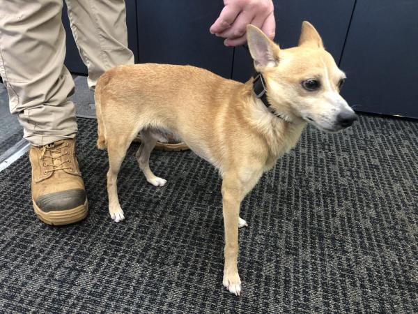 Stuart Highway BERRIMAH