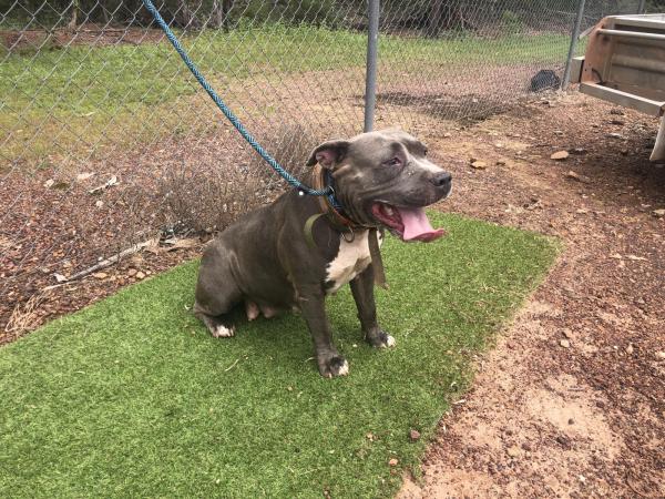 Finlay Road HOWARD SPRINGS NT