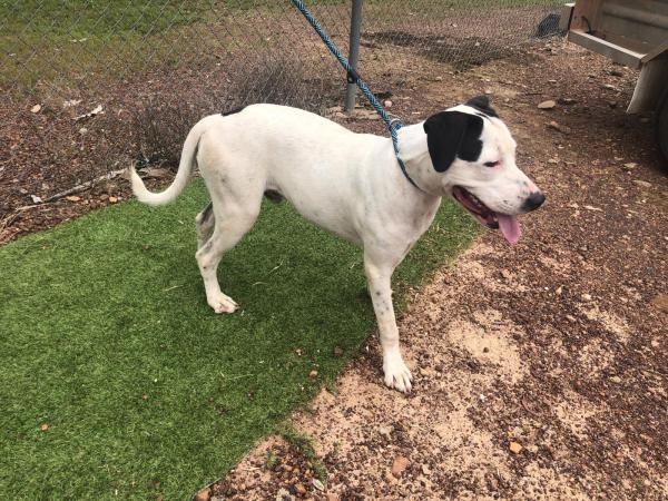 Finlay Road, HOWARD SPRINGS NT