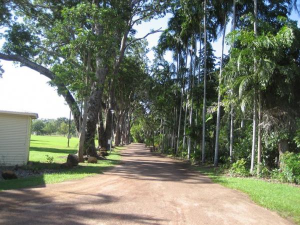 Large dirt driveway