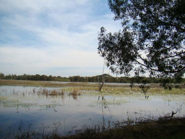 McMinns Lagoon Recreation Reserve Water