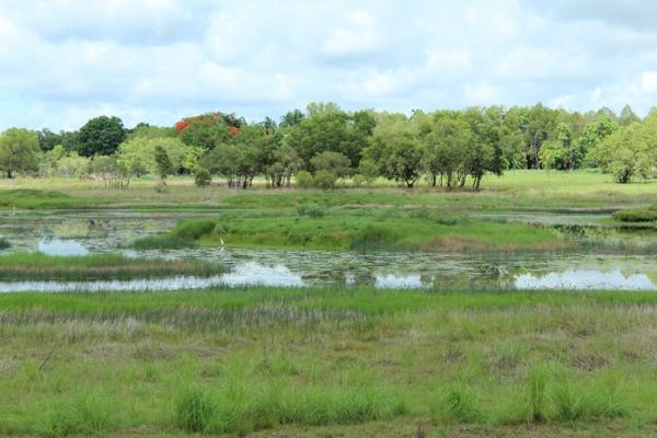 McMinns Lagoon Recreation Reserve Water