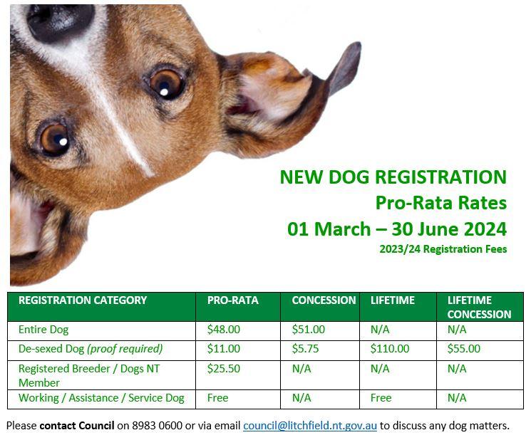 Pro-Rata NEW Dog Registration fees apply from 1 March to 30 June 2024