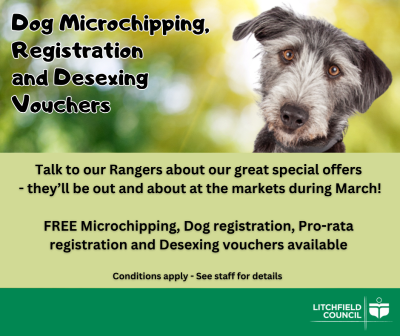 Free dog registration, microchipping and desexing vouchers